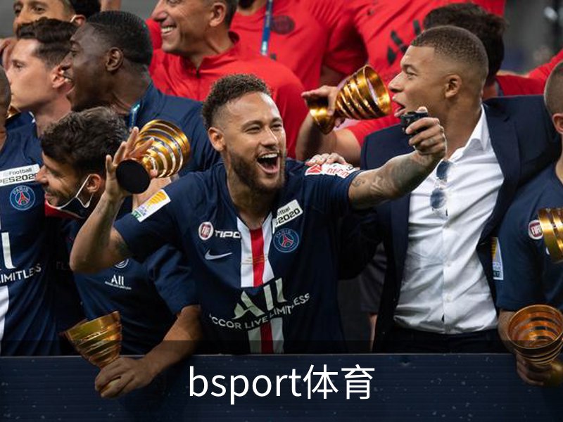 关于bsport体育